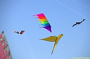 32 FESTIVAL CERVIA 2012 - 129
